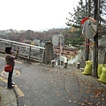 2011.11.18 korea 小山路景2.JPG