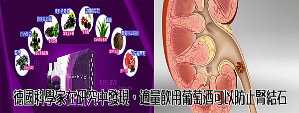 白藜蘆醇與腎結石.png