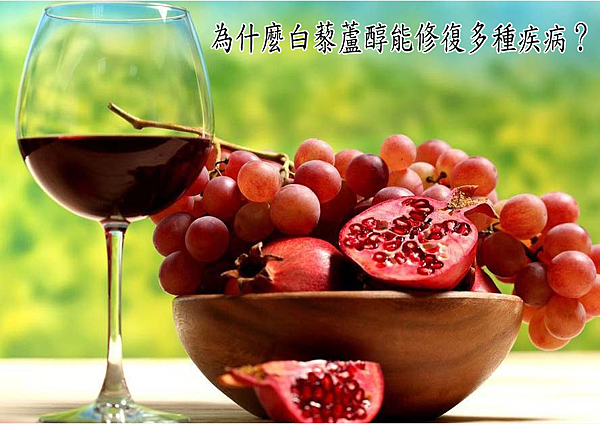 白藜芦醇 能修復多種疾病
