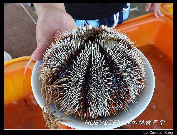 20140601_08 小門地質館與鯨魚洞 018