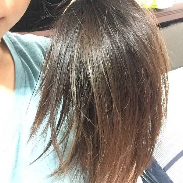 515441203.jpg 試用