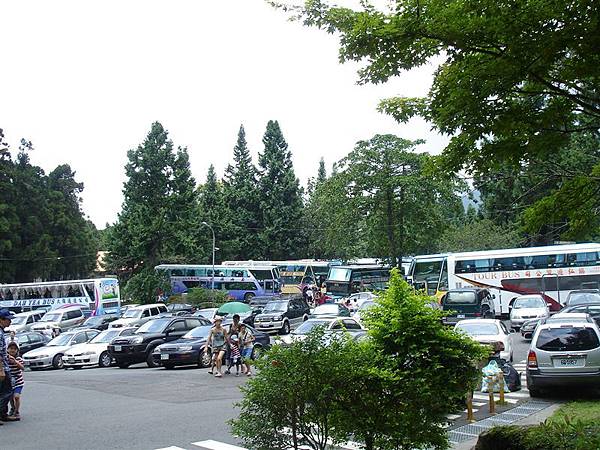 原來溪頭如此熱門.......居然找不到停車位