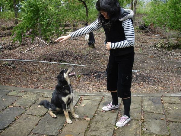 怡君真是個優秀的狗訓練師