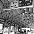 20110309(018).jpg