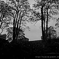 20110309(014).jpg