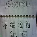 不能说的秘密 Secret  shhh