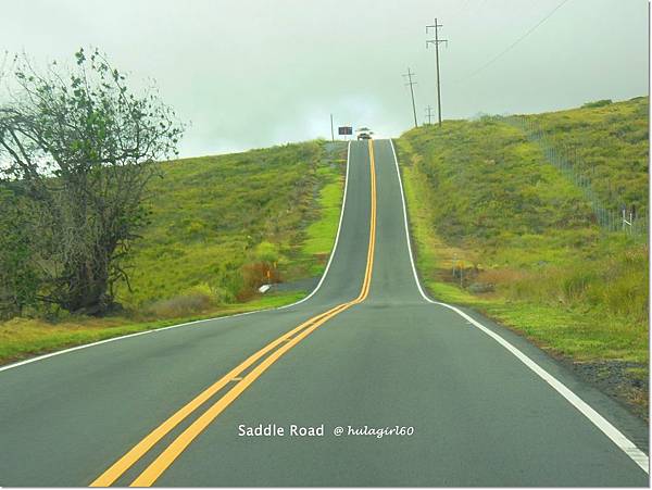 saddle road6.JPG