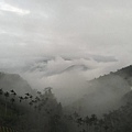 沿途看到的雲海