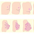 懷孕時期乳房保養變化