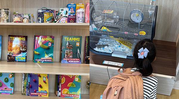 2025更新/林口小一安親班參觀心得整理/奇異鳥/放學趣/婕