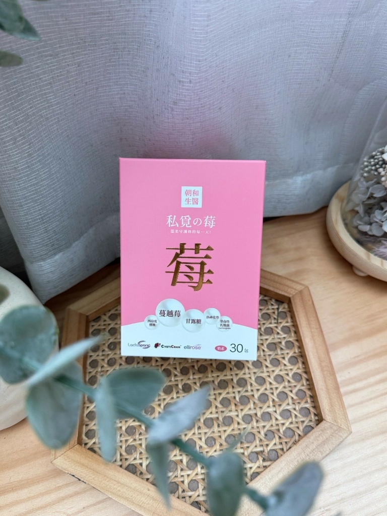 試用