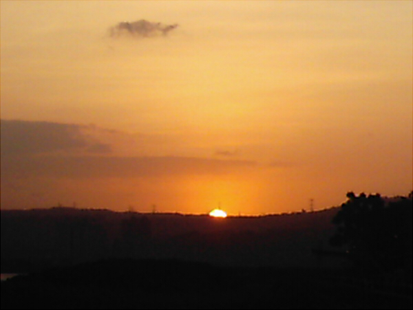 DCFN0020_1.jpg