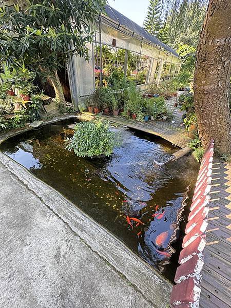 遊記。苗栗。不用出國就可體驗到的安徒生童話森林。花露農場 F 遊記。苗栗。不用出國就可體驗到的安徒生童話森林。花露農場 F