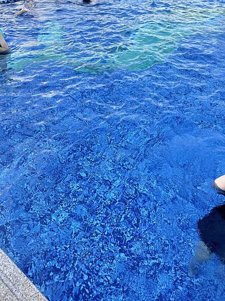 遊記。新北淡水。漁人碼頭福容大飯店設備篇