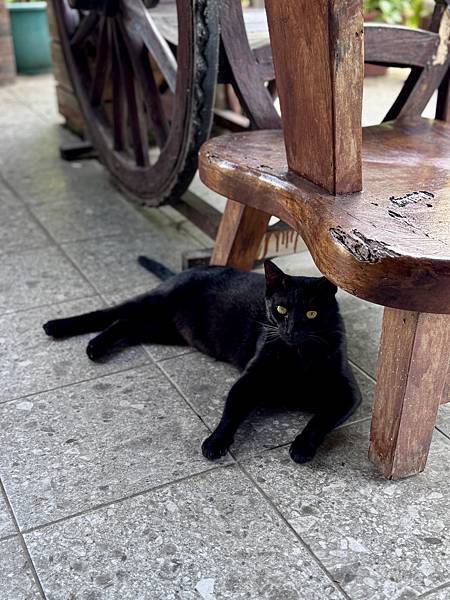 遊記。嘉義番路。清豐濤月景觀餐廳