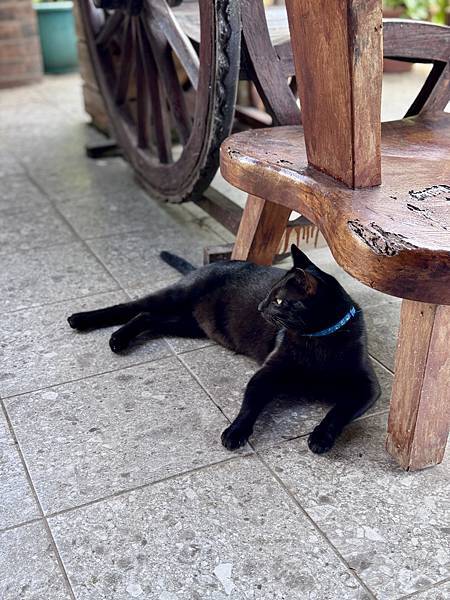 遊記。嘉義番路。清豐濤月景觀餐廳