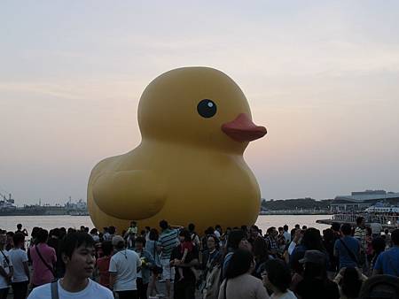 IMG_8339.JPG IMG_8339.JPG