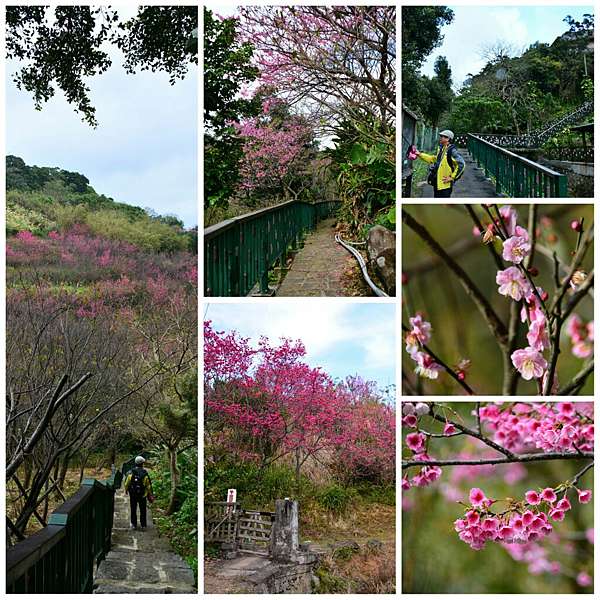 1502 0226 0305十八份拐圳步道 跟著洪蘋旅行臺灣 痞客邦 1502 0226 0305十八份拐圳步道 跟著洪蘋旅行臺灣 痞客邦