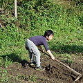 DSC00738_調整大小.JPG