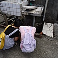 DSC08938_調整大小.JPG