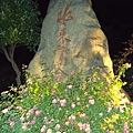 DSC01328_調整大小.JPG