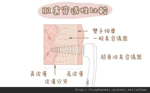 導入儀介紹