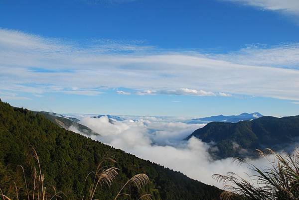 DSC_0036_结果