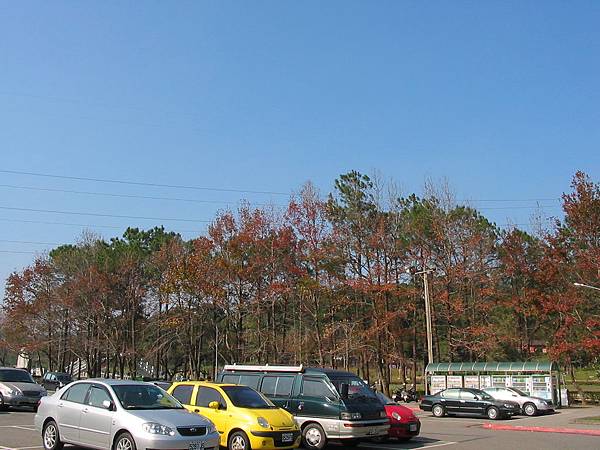 慈湖