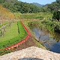 慈湖