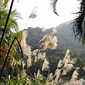 慈湖