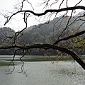 慈湖