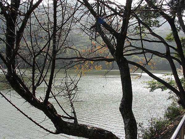 慈湖