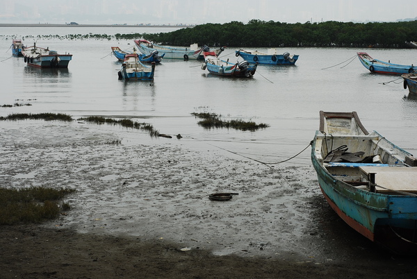 第一海堤