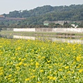 大佳河濱公園