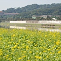 大佳河濱公園