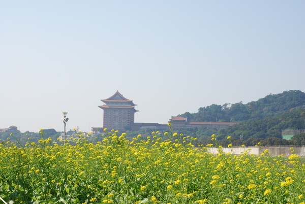 大佳河濱公園