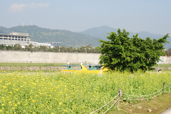 大佳河濱公園