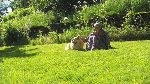 塔莎杜朵，一個人的田園生活劇照3