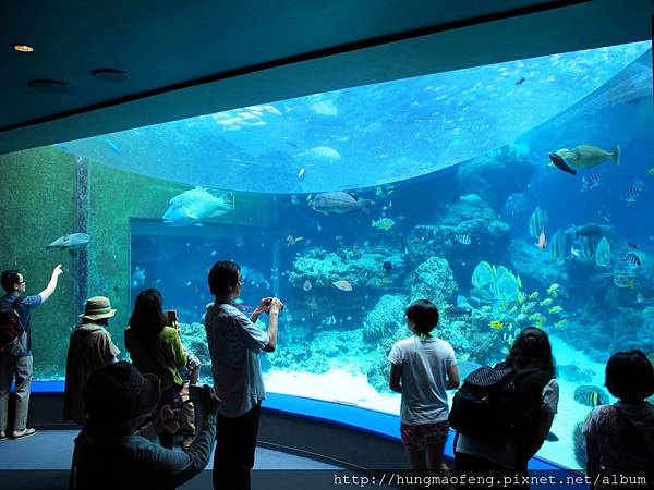 2015 年沖繩 Okinawa 自由 & 自助行 --- 