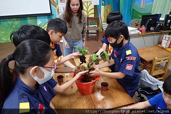 112 年母親節 --- 童子軍植物上板植栽 DIY／林口三