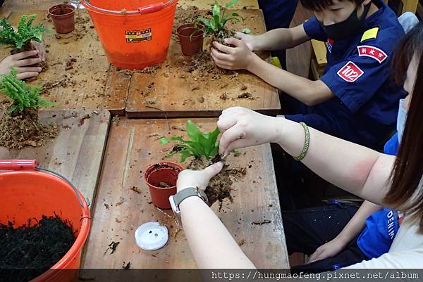 112 年母親節 --- 童子軍植物上板植栽 DIY／林口三