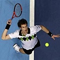 莫瑞（Andy Murray）.jpg