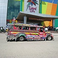 cebu bohol 192.jpg