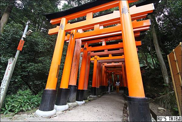 [旅記-日本關西｜京都] ◤伏見稻荷大社◢