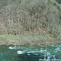 20100228_198.jpg