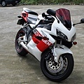 IMG_2219_resize.JPG