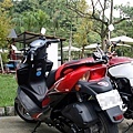 IMG_2225_resize.JPG