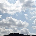 IMG_2234_resize.JPG