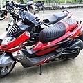 IMG_2237_resize.JPG