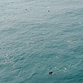 DSC_9908.jpg